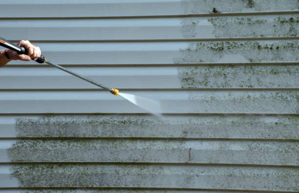 Best Deck Cleaning Services  in Locust Valley, NY
