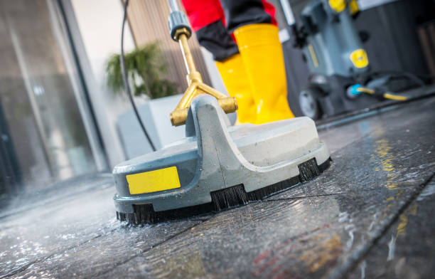 Best Exterior Home Cleaning  in Locust Valley, NY